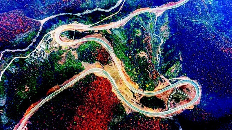 W020241128320892243924.jpg